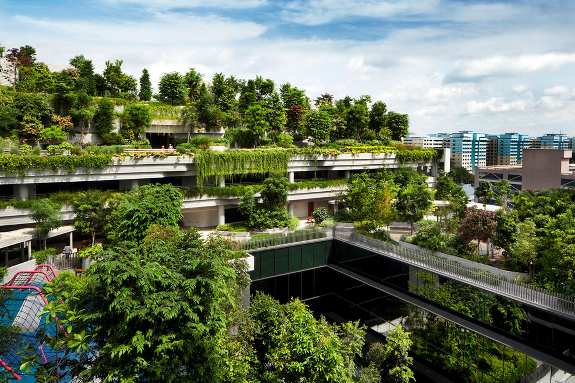 02124605-kampung-admiralty-pbh-077_cover_2000x1333
